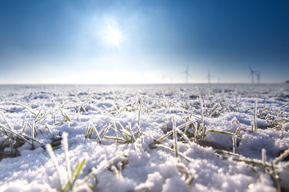 Fehmarn Kalender Schnee